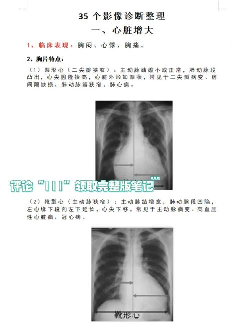 医学影像学备考攻略:病例影像图谱全解析